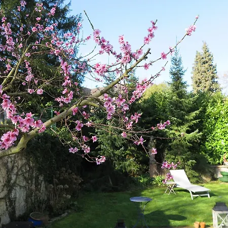 Peche De Vigne Restaurant & 3*