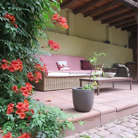 ホテル Peche De Vigne & Rodern