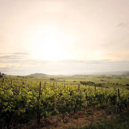 Peche De Vigne & Hotel 3*