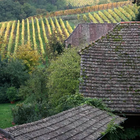 Peche De Vigne & ホテル