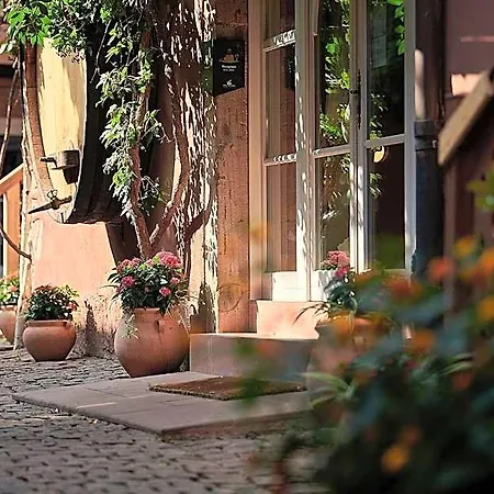 Peche De Vigne Restaurant & 3* Rodern
