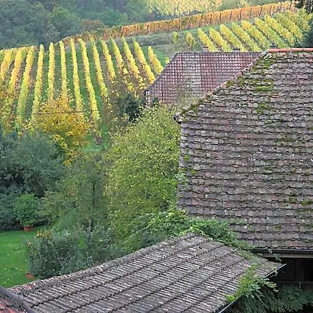 Peche De Vigne Restaurant & Ξενοδοχείο Rodern