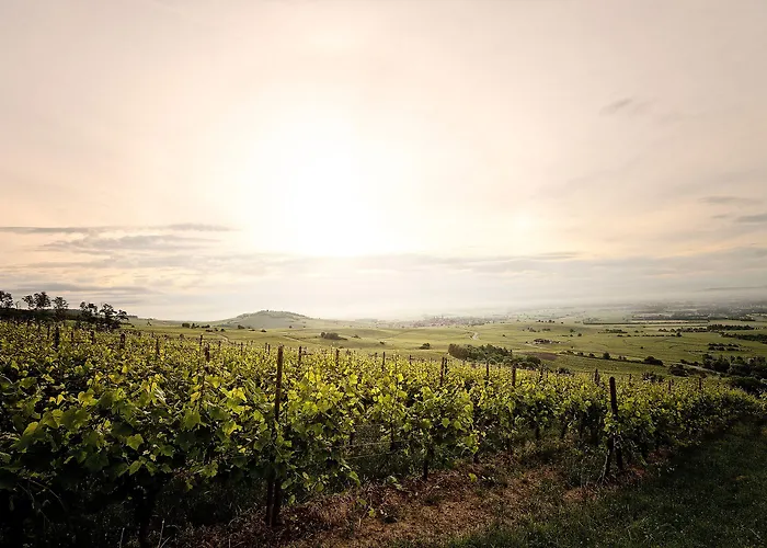 Peche De Vigne & Hotel 3*